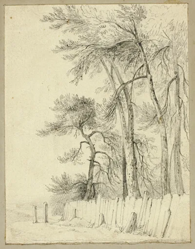 William Henry Stothard Scott, At Pittsfield in June