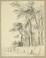 William Henry Stothard Scott, At Pittsfield in June
