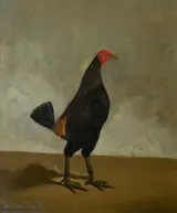 Hilton Lark Pratt, Fighting Cock