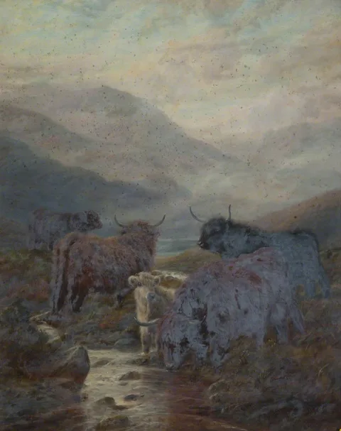 Robert Watson, Highland Cattle