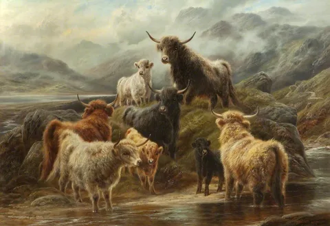 Robert Watson, Highland Cattle