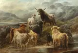 Robert Watson, Highland Cattle