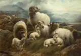 Robert Watson, Sheep in a Landscape