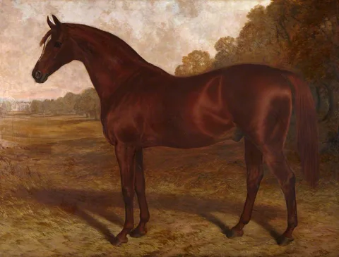 Robert Nightingale, Hermit, a Racehorse in a Landscape