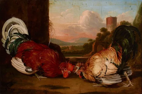 August Friedrich, Fight of Cocks