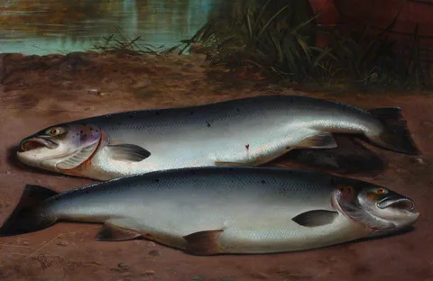 William Geddes, Two Salmon