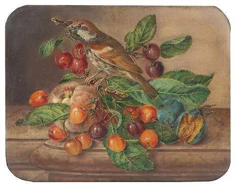 Anton Fidler, Untitled