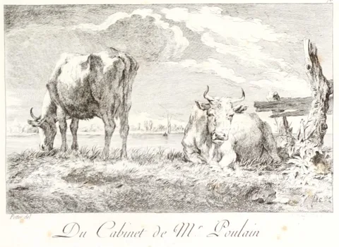 Carl Wilhelm Weisbrod, Study of Cows