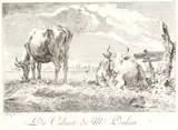 Carl Wilhelm Weisbrod, Study of Cows