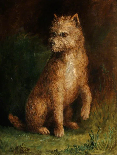 Albert Durer Lucas, 'Dash'