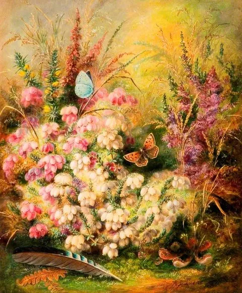 Albert Durer Lucas, Heath, Heather, Furze and Sundew