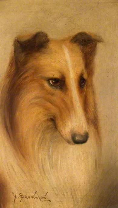 George Washington Brownlow, Collie