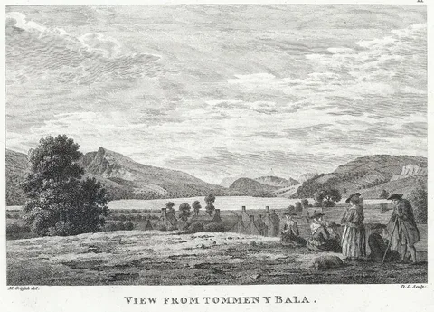Daniel Lerpinière, View from Tommen Y Bala