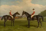 Edmund Havell the Younger, The Racehorses 'Merry Andrew' and 'Chillington'