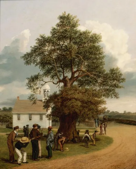 George Wainwright Harvey, The Apostle's Oak