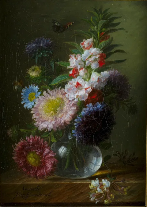 Cornelis van Spaendonck, Untitled