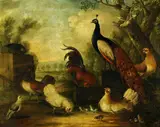 Marmaduke Craddock, A Group of Ornamental Fowl in a Landscape