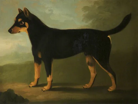 Daniel Clowes, A Dog with Dark-brown and Pale-brown Markings with a Mask-like Marking on its Face in a Landscape