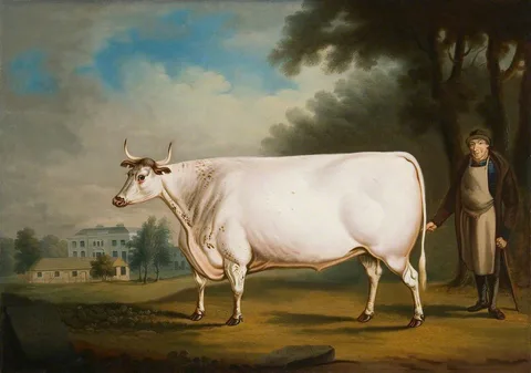 Daniel Clowes, The White Ox of Nannau