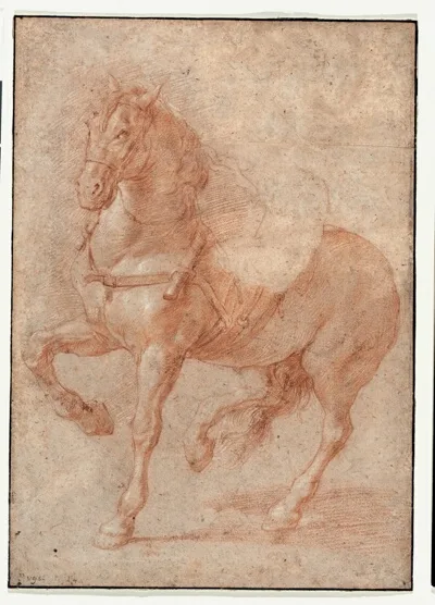 Pierre Puget, Study of Bucephalus for the Relief "Alexander and Diogenes"
