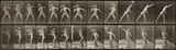 Eadweard (Edward James) Muybridge, Animal Locomotion, Plate 319