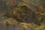 John Trivett Nettleship, Ruminating (Brown Bear)