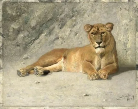 Jan Van Essen, Lioness Resting