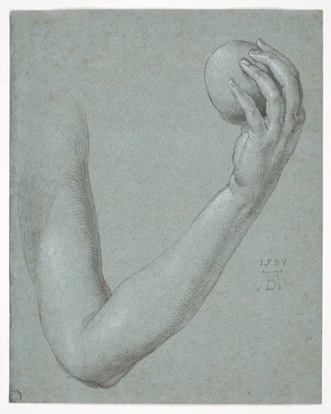 Durer, Arm of Eve