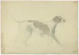 Sawrey Gilpin R.a., Fox Hound (recto); Sketches of Horse and Rider (verso)