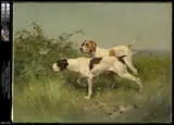 Olivier Charles de Penne, Two Pointers