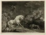 William Woollett After George Stubbs, A Horse Affrighted by a Lion