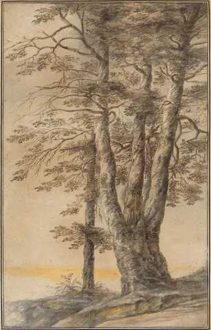 Lukas van Uden, Study of Trees