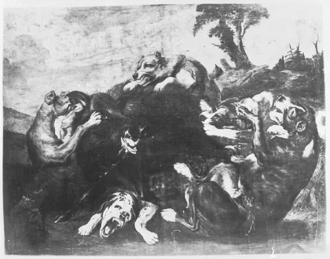 Juriaen Jacobsen, A wild boar fighting with dogs