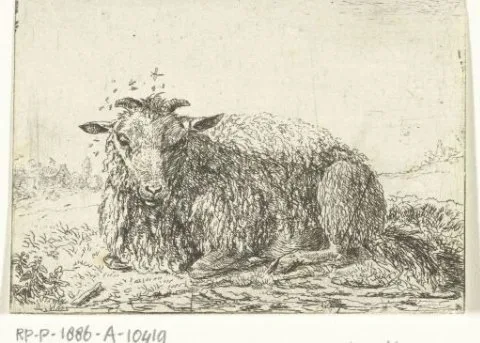 Jacob van der Does I, Schaap met vliegen