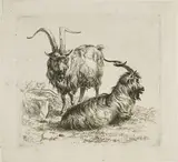 Nicolaes Claes Berchem, Two Goats with Large Horns, from Various Animals