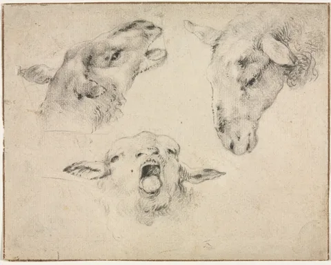 Wouterus I Verschuur, Sheep Heads