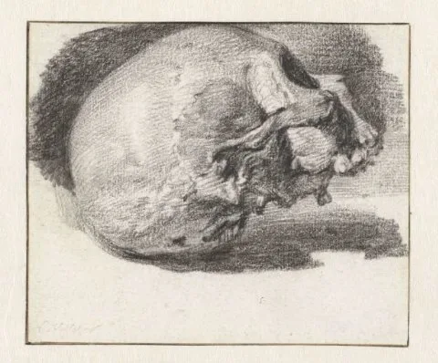 Cornelius Visscher, Study of a Skull, Facing Right