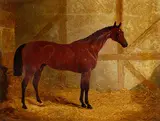 John Frederick Herring Senior, Cotherstone, Winner of Derby