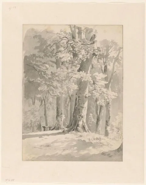 B.C. Koekkoek, Bosgezicht