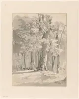 B.C. Koekkoek, Bosgezicht