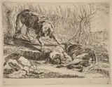 Joannes Fijt, Two Beagles, One Sleeping