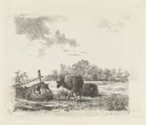 Hendrikus van de Sande Bakhuyzen, Weide met schapen