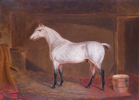 Thomas Temple, 'Tommy'