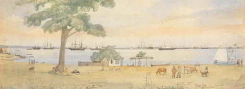 Godfrey Thomas Vigne, Greytown