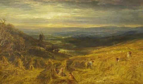 George Lucas, A Surrey Cornfield
