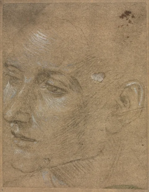 Filippino Lippi, Head of a Young Man
