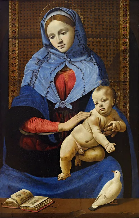 Piero di Cosimo, Madonna and Child with a Dove - Piero di Cosimo - Louvre INV 817