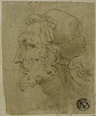 Baldassare Peruzzi, Male Head in Profile