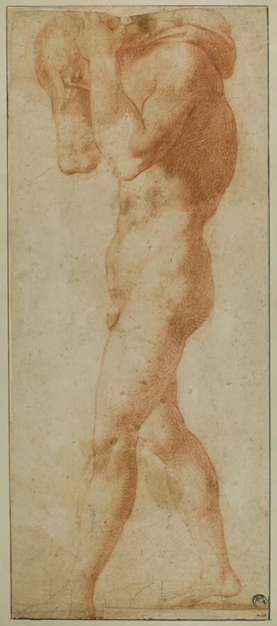 Rosso Fiorentino, Male Nude Walking to Left, Carrying Burden on His Shoulders