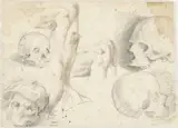 Daniele da Volterra, Vier studies van een schedel